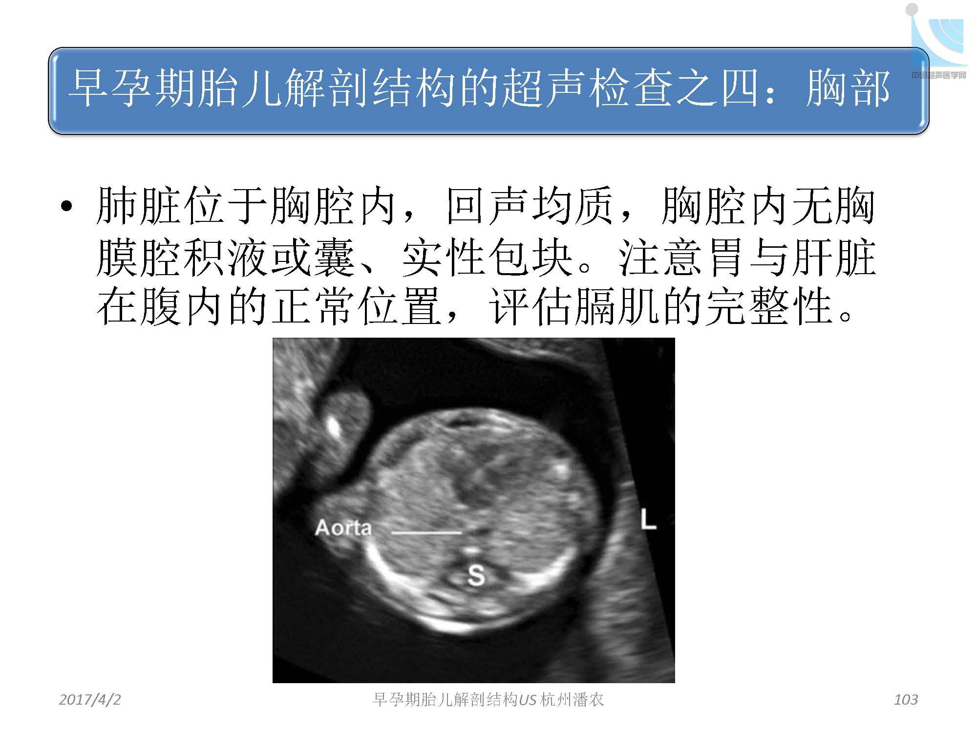 中国超声医学网